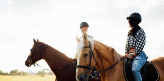 Zwei glückliche Reiter sitzen auf ihren Freizeitpferden