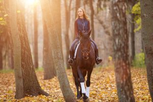 Ausreiten mit Pferd im Herbstwald