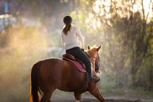 Reiterin und braunes Pferd beim Pferdetraining im Herbst