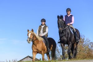 Zwei Reiterinnen mit ihren Pferden bei schönem Wetter