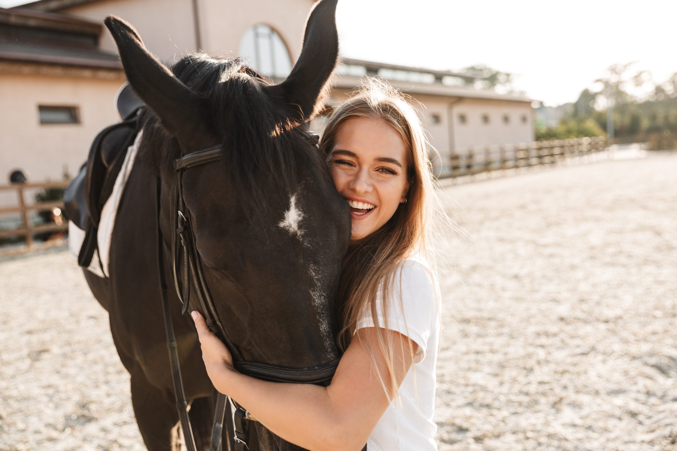 Quiz Wie viel weisst du über Pferde -Pferdenarr mit Lieblingspferd