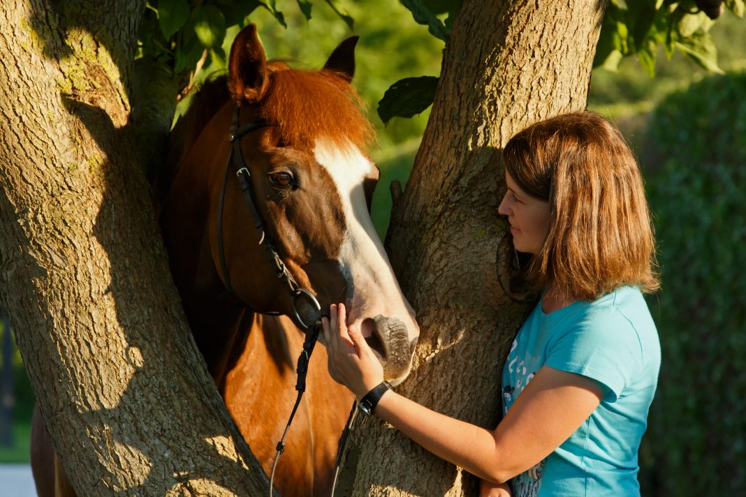 Pferdebesitzer Titelbild Blogbeitrag Frau mit ihrem Pferd