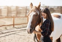 Pferdesprache verstehen wie eine Pferdeflüstererin